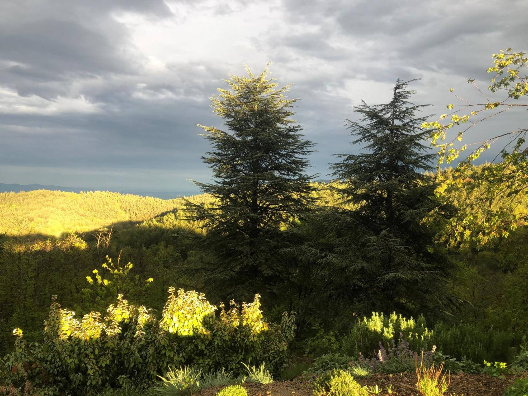 Reve D'Etoiles Bed & Breakfast Saint-Laurent-de-Cerdans Bagian luar foto
