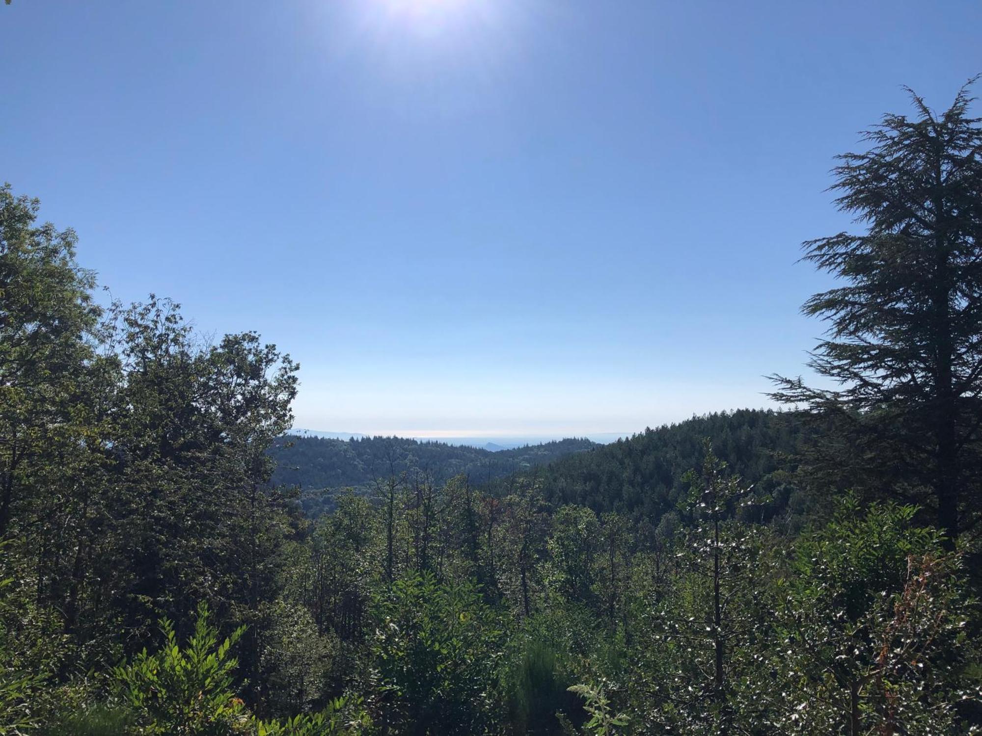 Reve D'Etoiles Bed & Breakfast Saint-Laurent-de-Cerdans Bagian luar foto
